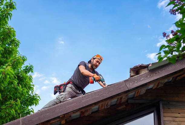 Best Chimney Flashing Repair  in La Grange, NC