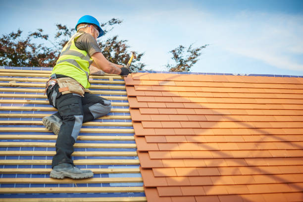 Best Roof Moss and Algae Removal  in La Grange, NC