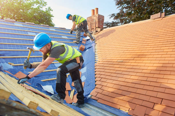 Best Skylight Installation and Repair  in La Grange, NC